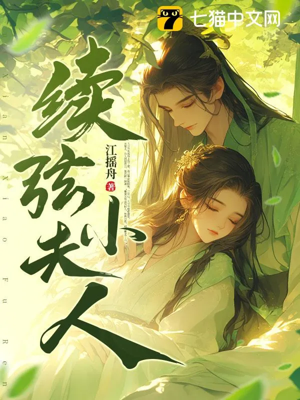 續絃小夫人