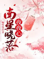 南星曉落夜夜心
