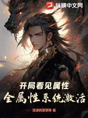 開局看見屬性，全屬性系統激活！