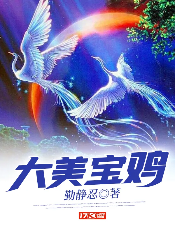 大美寶雞