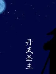 丹武聖主