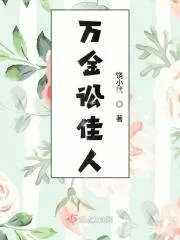 萬金訟佳人