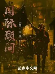 代替偵探的刑事顧問
