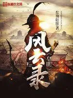 皇明風雲錄