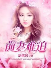 前妻難追.