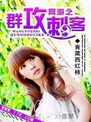 網遊之群攻刺客