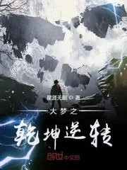 大夢之乾坤逆轉