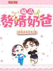 極品贅婿奶爸