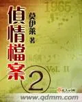 偵情檔案二
