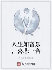 人生如音樂，喜悲一合