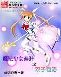 魔法少女奈葉之雙子物語