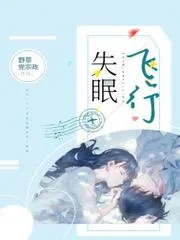 失眠飛行