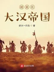碰瓷在大漢帝國